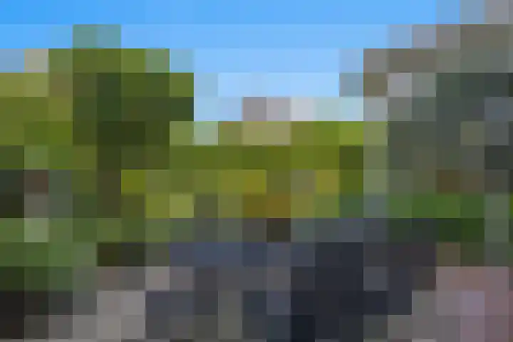 Luwte 4 De Meern thumbnail 27