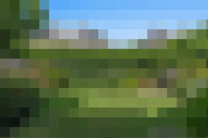 Luwte 4 De Meern thumbnail 28