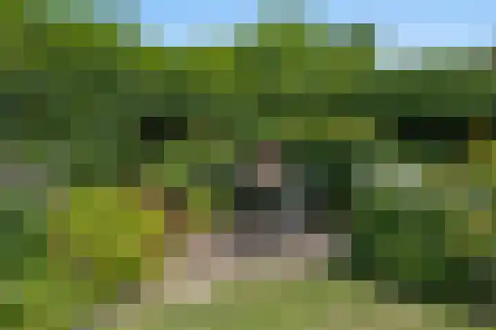 Luwte 4 De Meern thumbnail 29