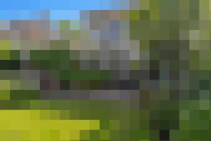 Luwte 4 De Meern foto 3