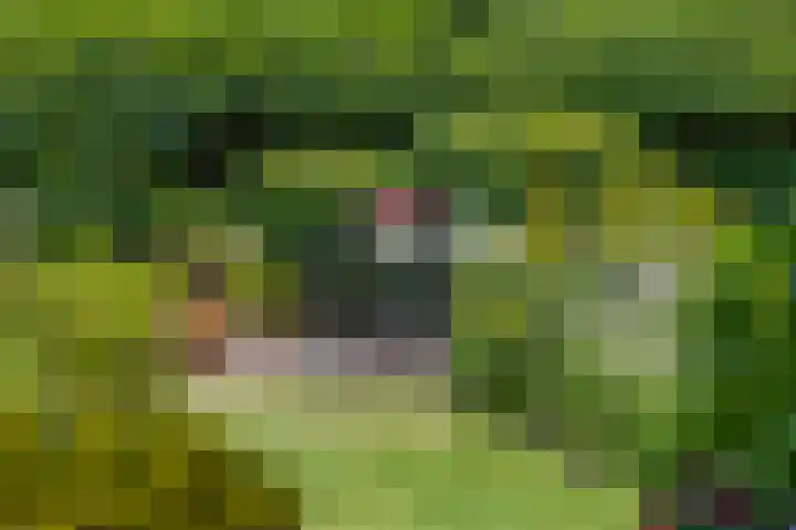 Luwte 4 De Meern thumbnail 30