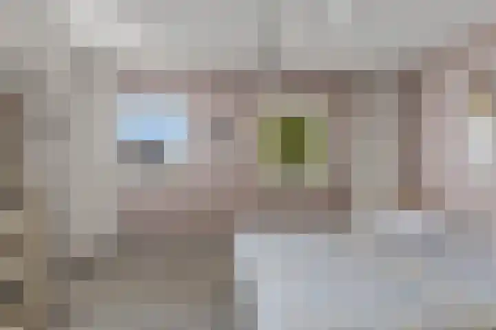 Luwte 4 De Meern thumbnail 32