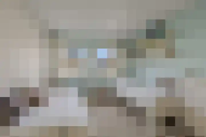 Luwte 4 De Meern thumbnail 36