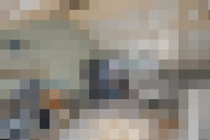 Luwte 4 De Meern thumbnail 44