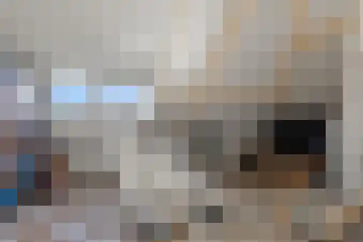 Luwte 4 De Meern thumbnail 45