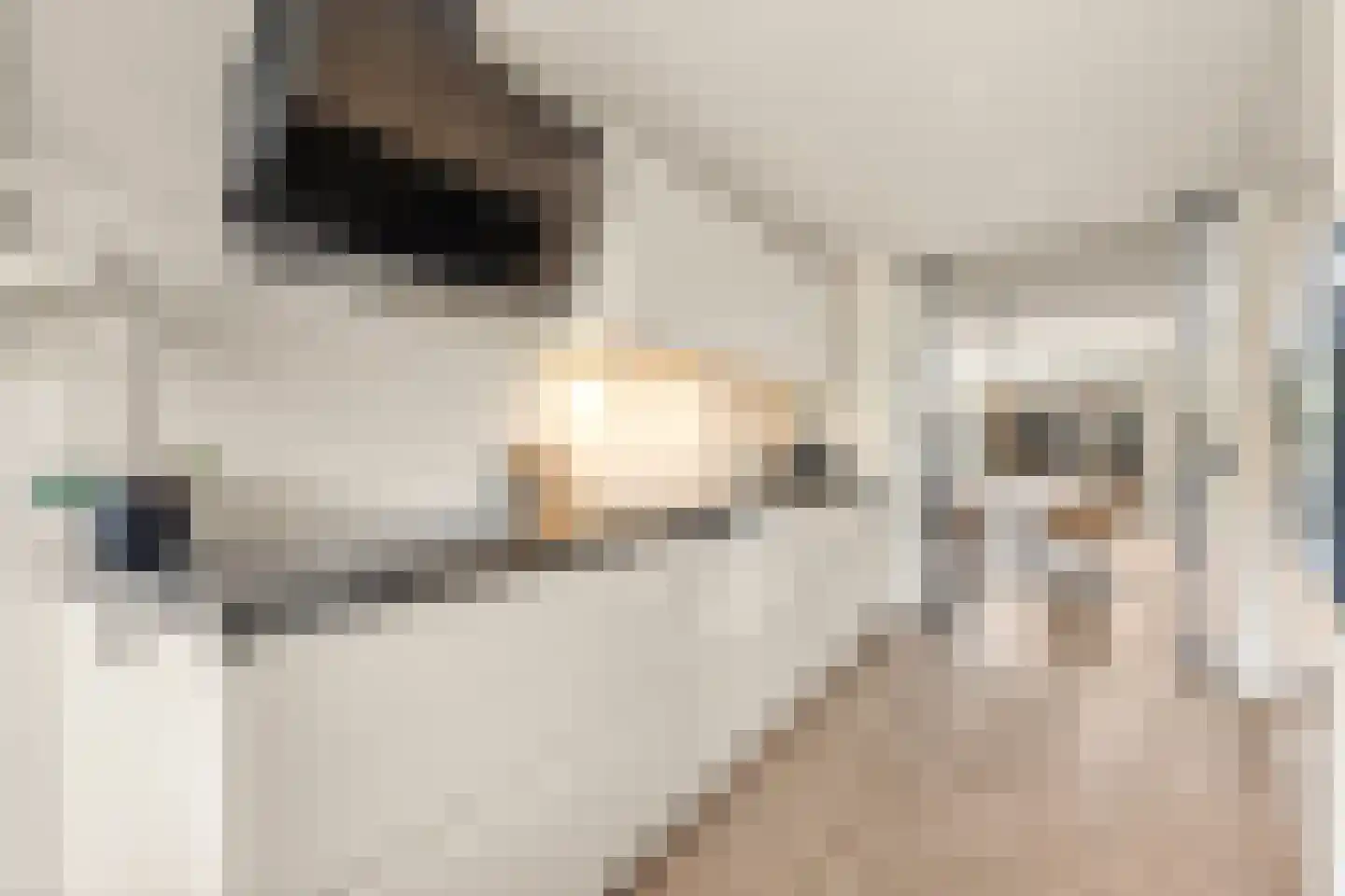 Luwte 9 Assendelft thumbnail 11