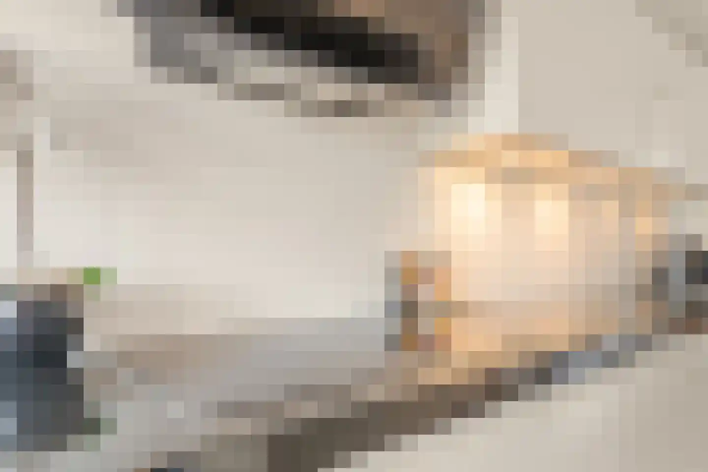 Luwte 9 Assendelft thumbnail 12