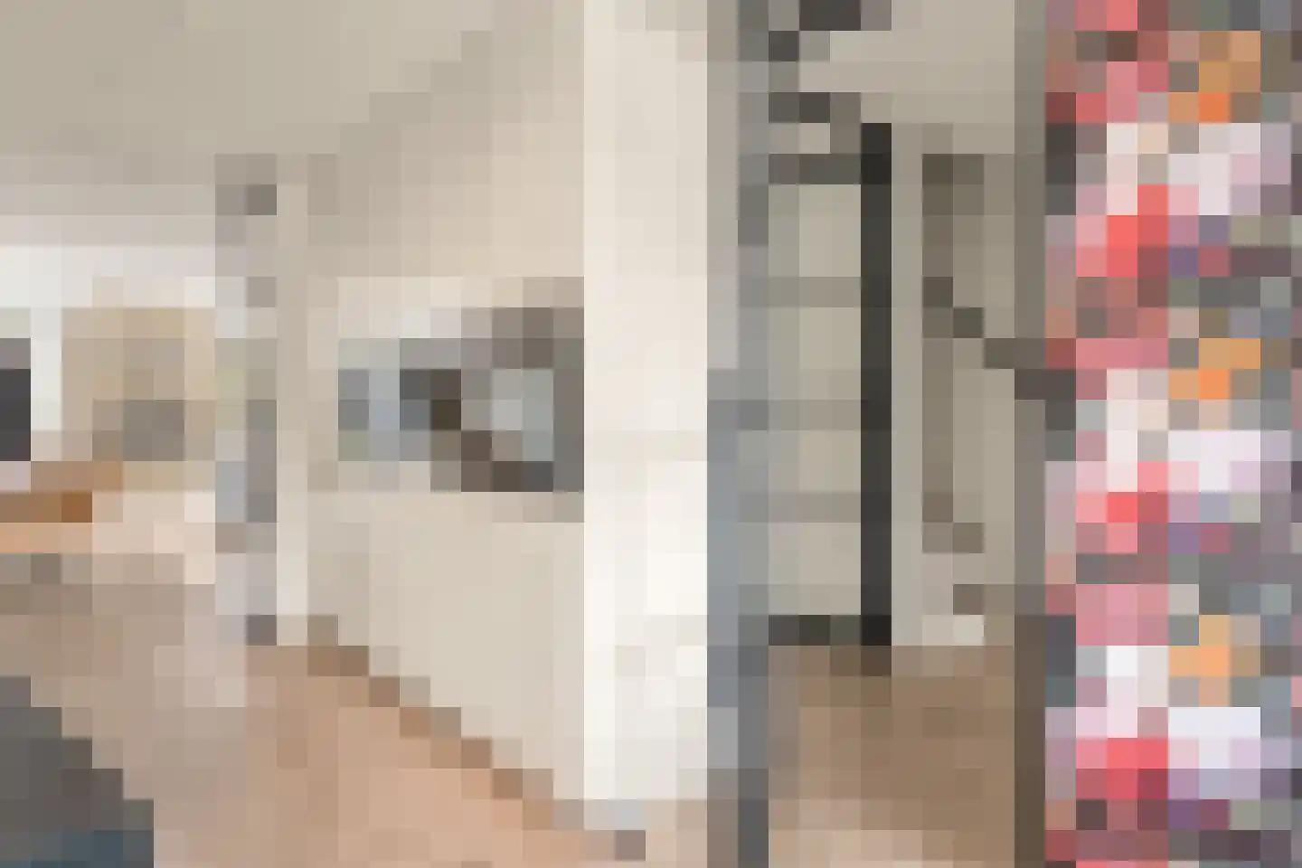 Luwte 9 Assendelft thumbnail 14