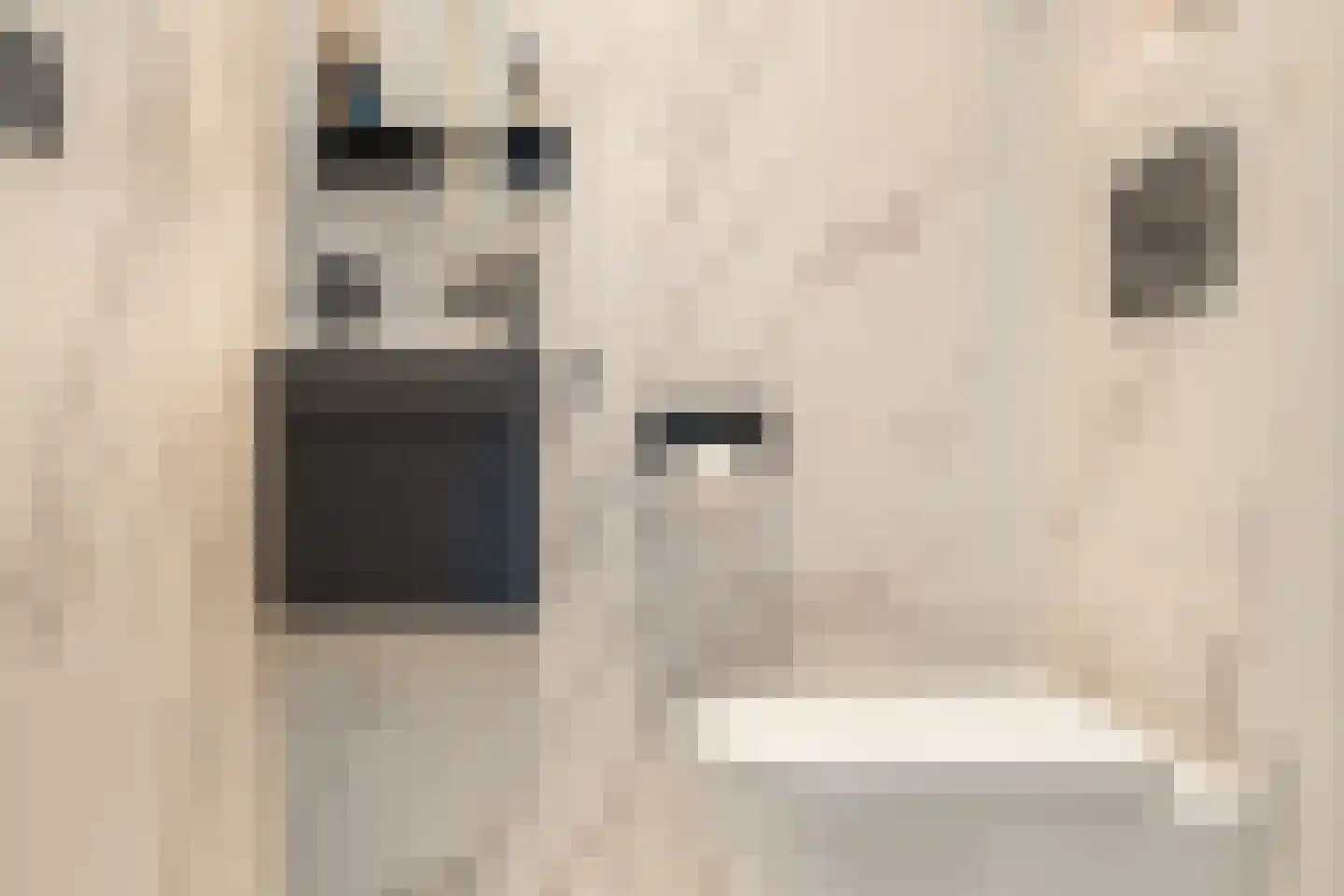 Luwte 9 Assendelft thumbnail 28