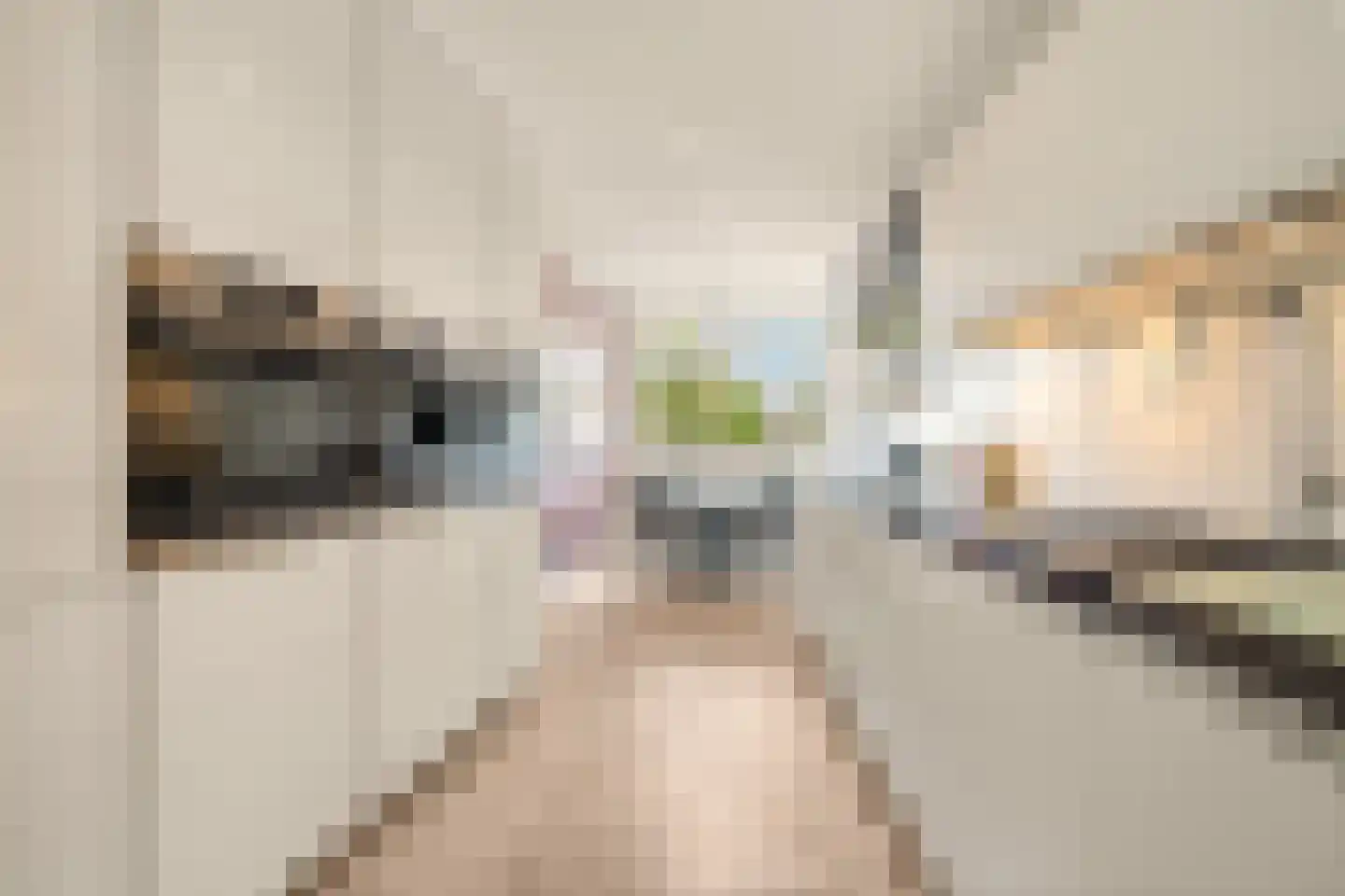 Luwte 9 Assendelft foto 3