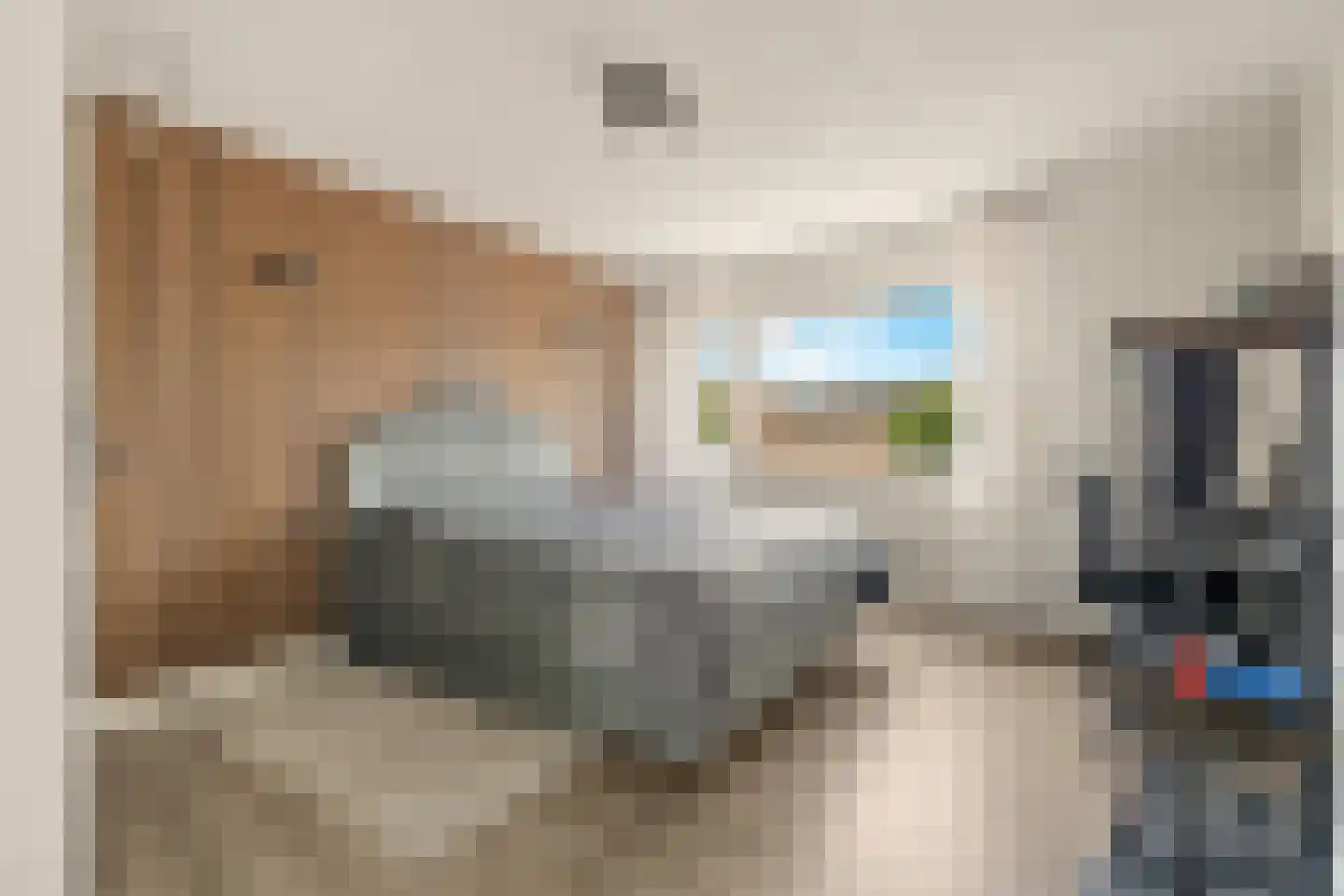 Luwte 9 Assendelft thumbnail 30