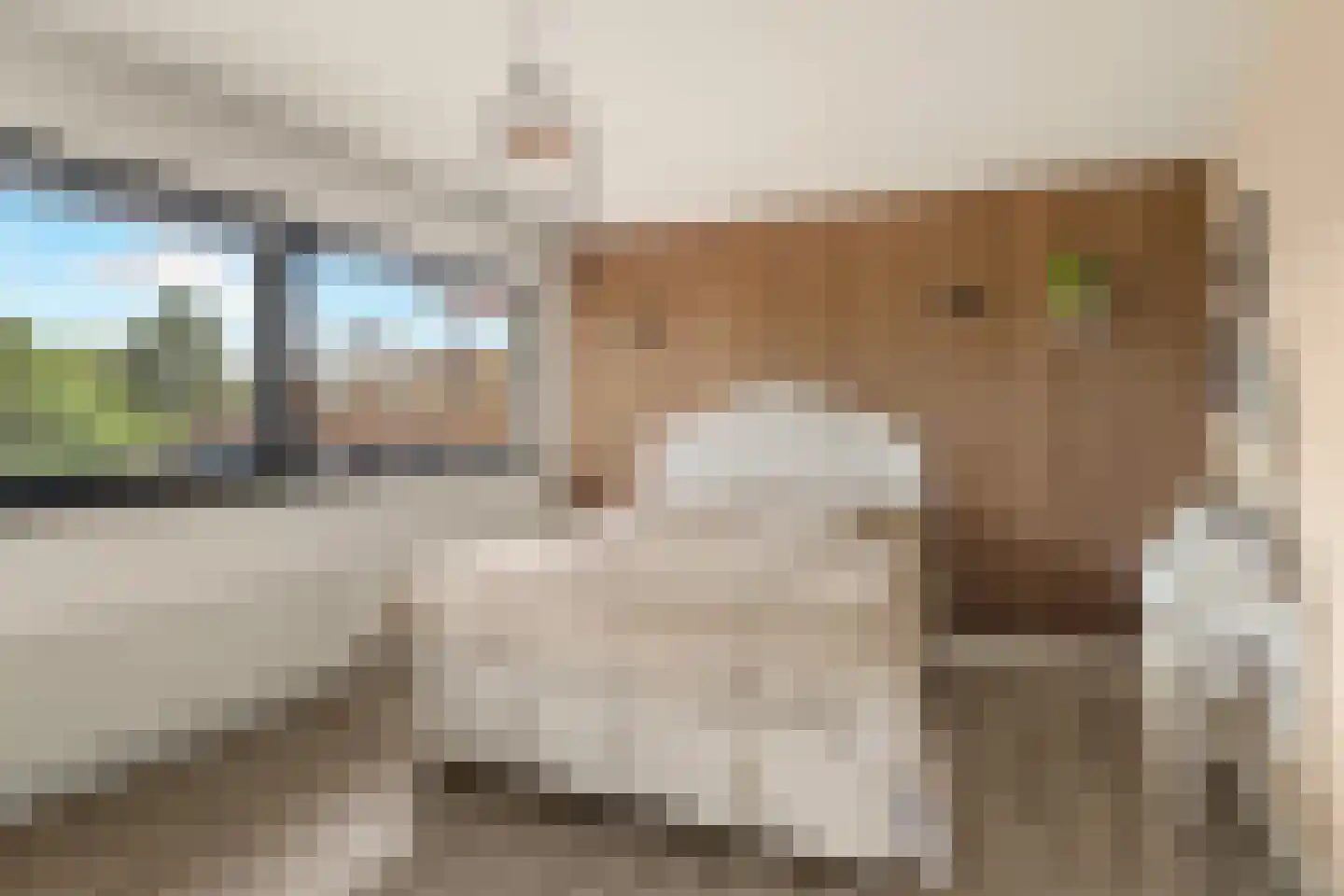 Luwte 9 Assendelft thumbnail 32
