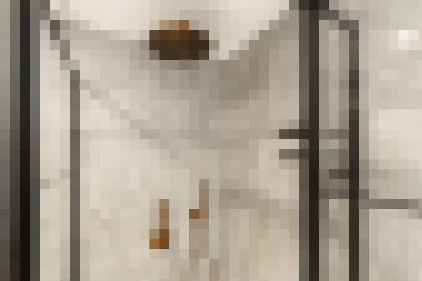 Luwte 9 Assendelft thumbnail 39