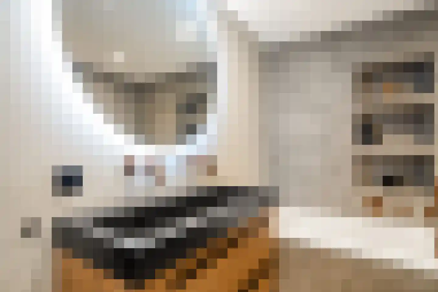 Luwte 9 Assendelft thumbnail 40