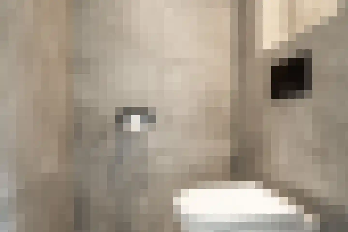Luwte 9 Assendelft thumbnail 43