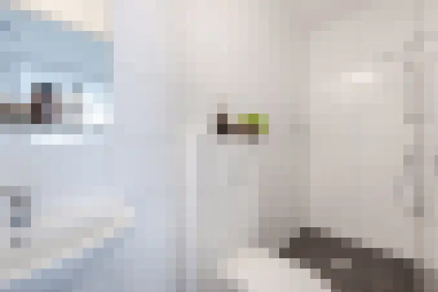 Luxemburglaan 103 Eindhoven thumbnail 12