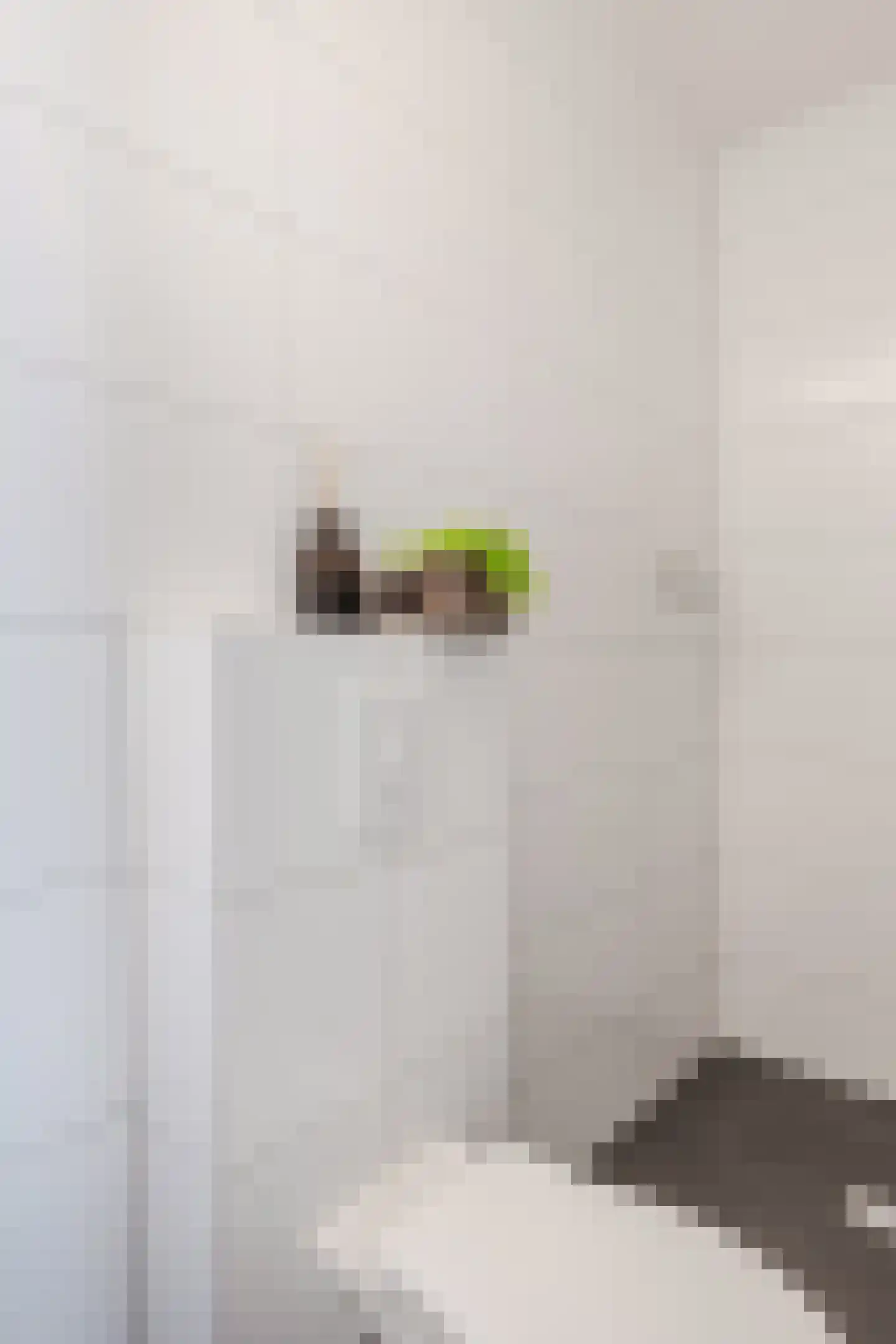 Luxemburglaan 103 Eindhoven thumbnail 17