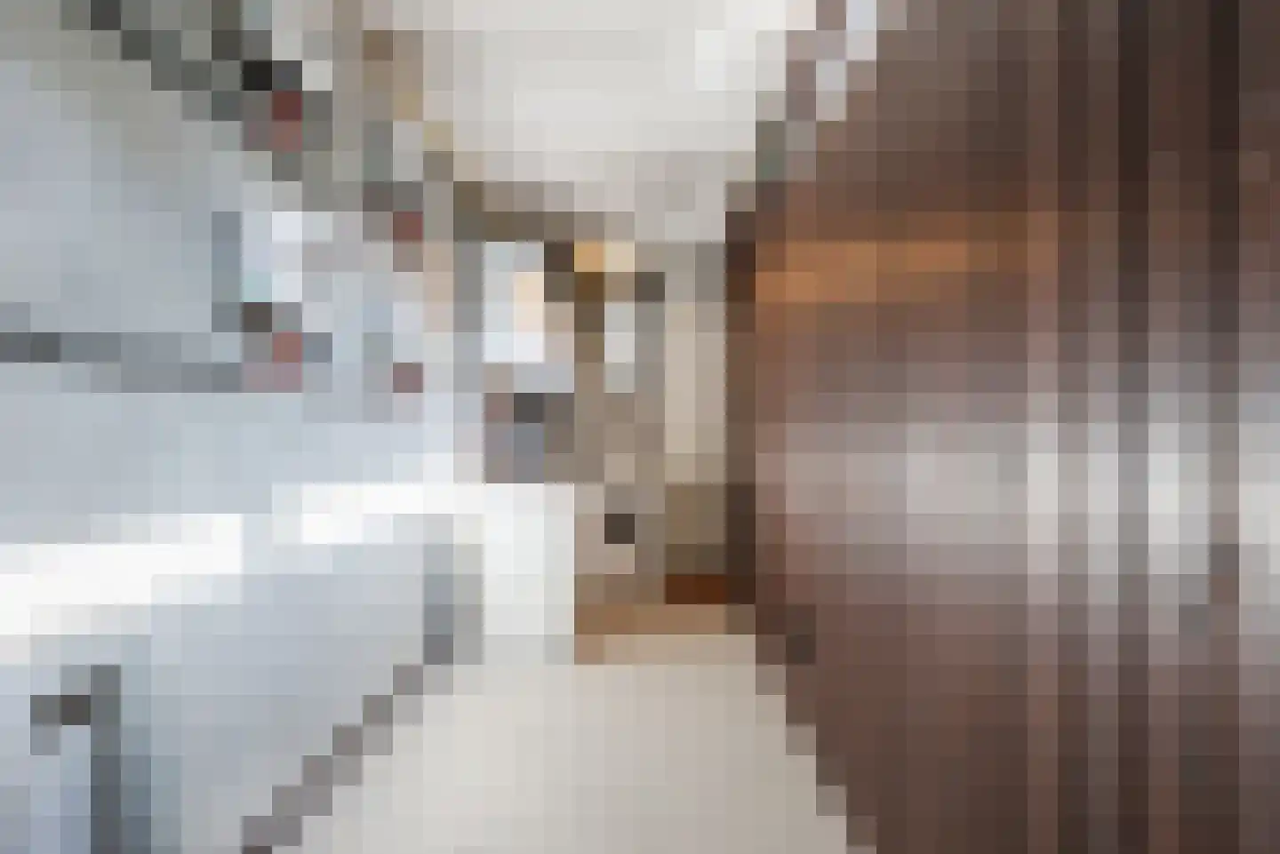 Luxemburglaan 103 Eindhoven thumbnail 19