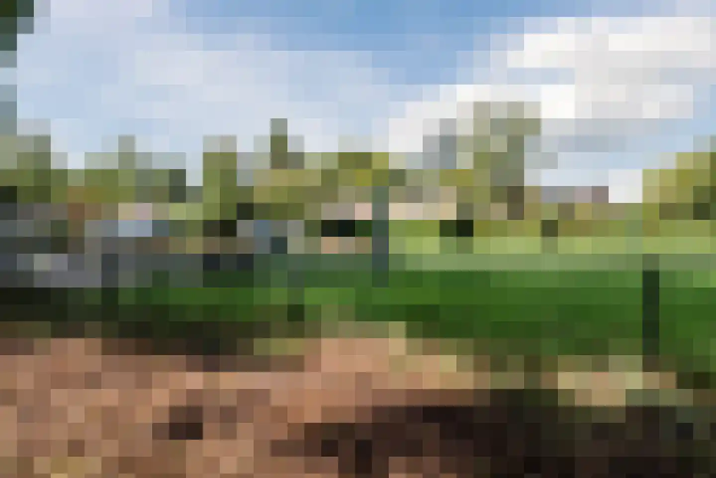 Luxemburglaan 103 Eindhoven thumbnail 20