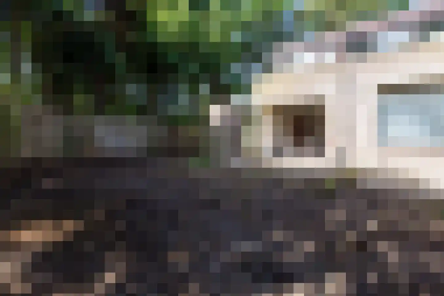 Luxemburglaan 107 Eindhoven thumbnail 31