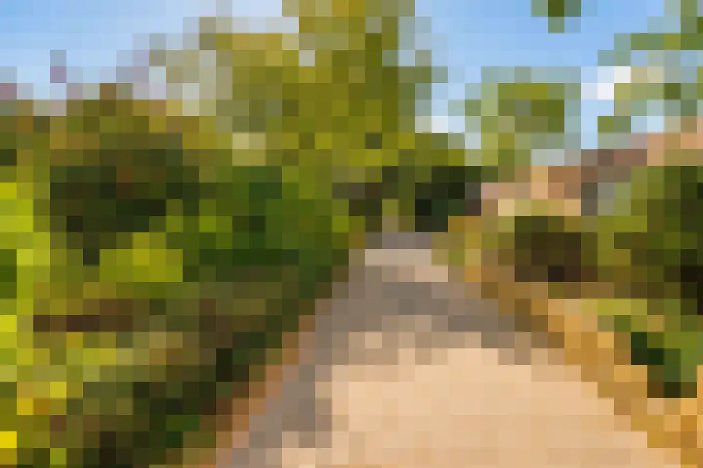 Luxemburglaan 192 Heemskerk thumbnail 28