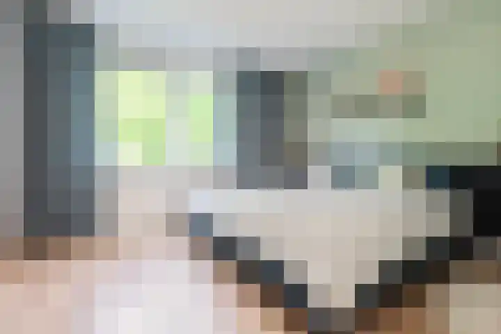 Luxemburglaan 223 A Beverwijk thumbnail 26