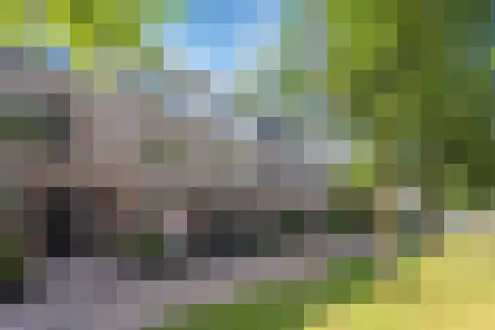 Luxemburglaan 223 A Beverwijk thumbnail 34