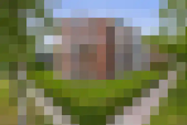 Luxemburglaan 26 Stadskanaal thumbnail 11