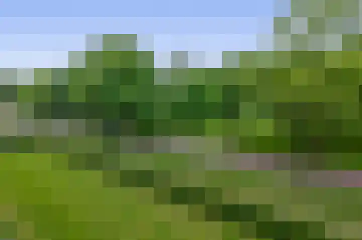 Luxemburglaan 26 Stadskanaal thumbnail 32