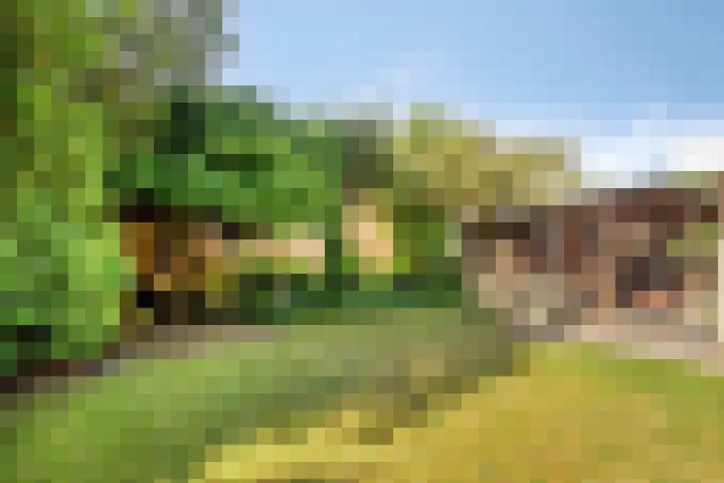Luxemburglaan 29 Oldenzaal thumbnail 31