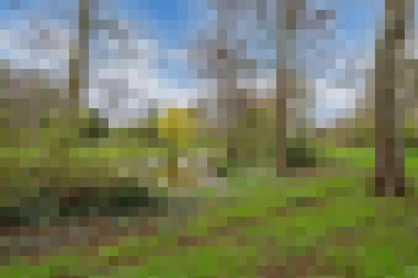 Luxemburglaan 323 Heemskerk thumbnail 37
