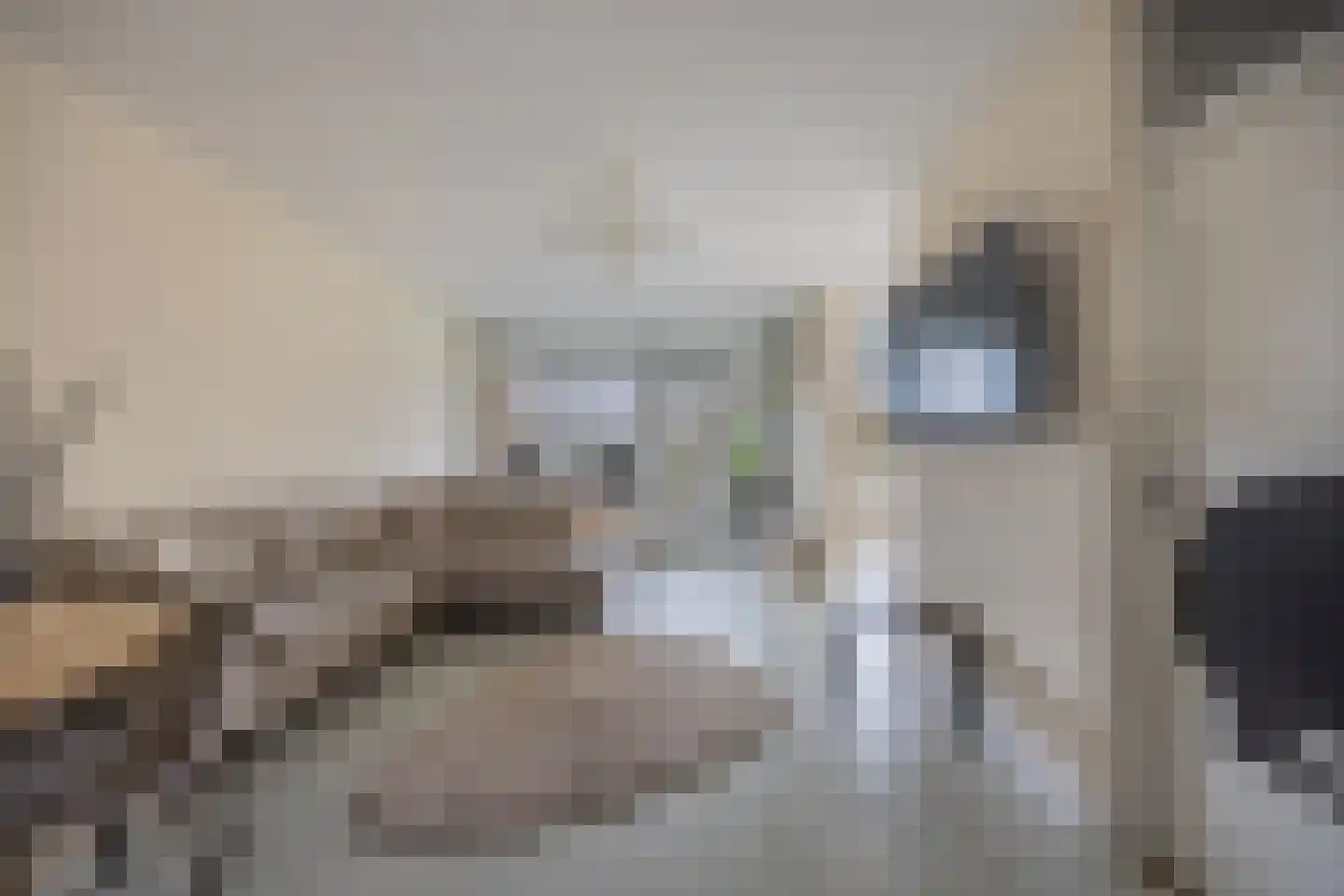 Luxemburglaan 323 Heemskerk thumbnail 9