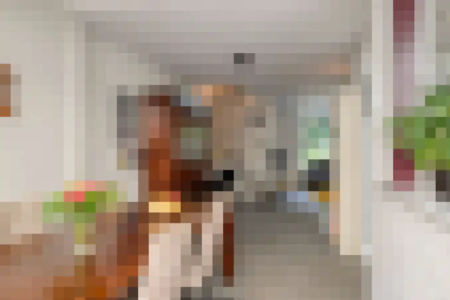 Luxemburglaan 35 Dongen thumbnail 13