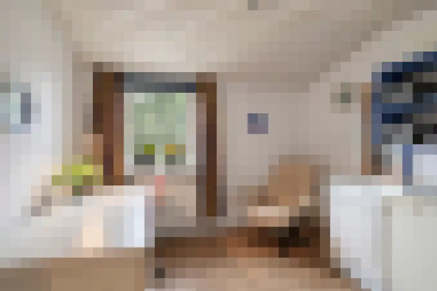 Luxemburglaan 35 Dongen thumbnail 25