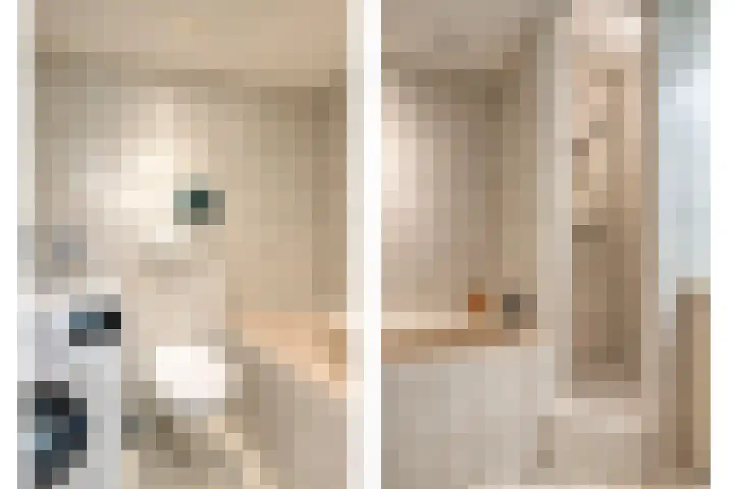 Luxemburglaan 35 Dongen thumbnail 28