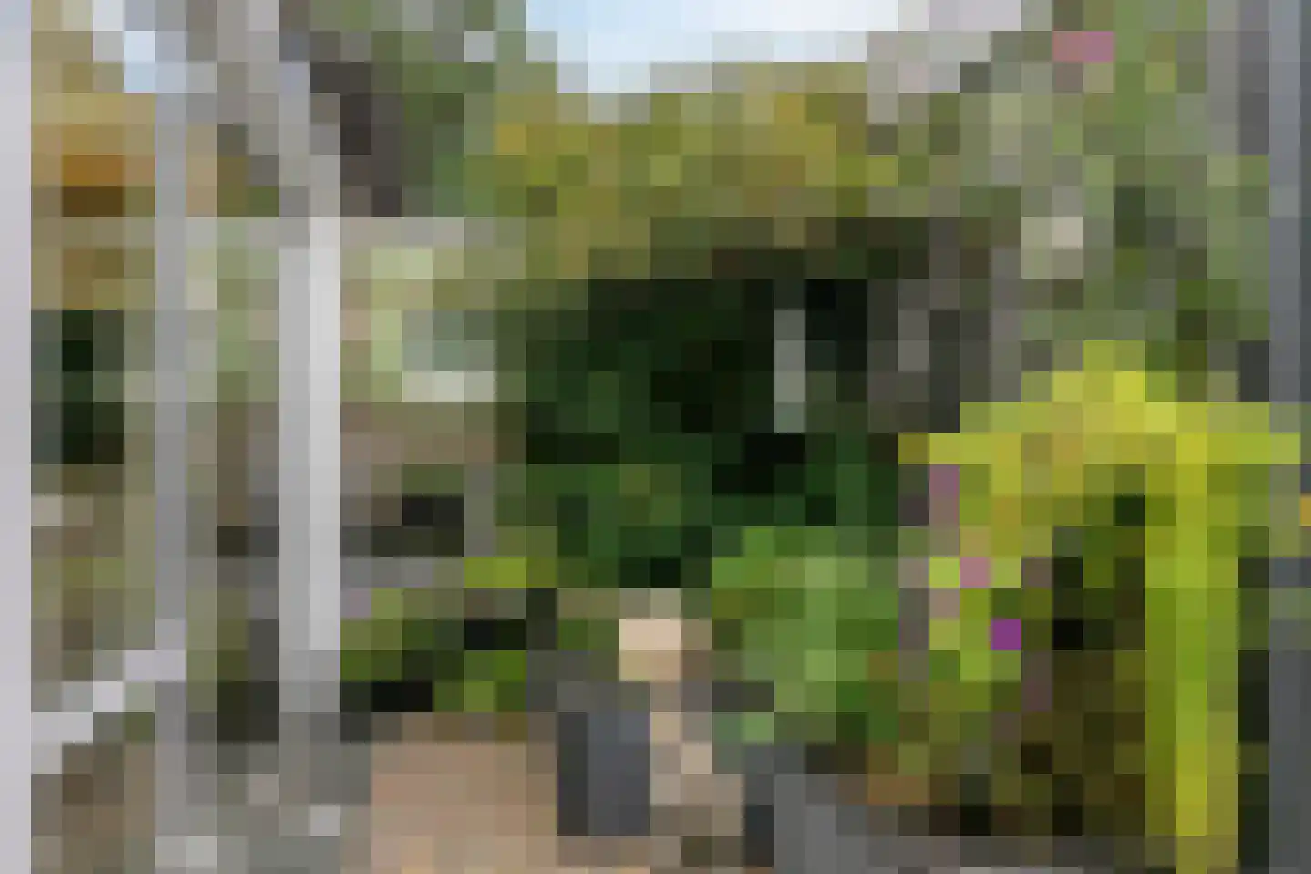Luxemburglaan 35 Dongen thumbnail 30