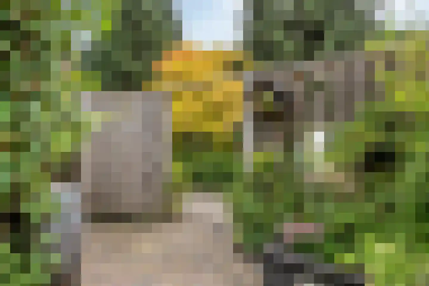 Luxemburglaan 35 Dongen thumbnail 33