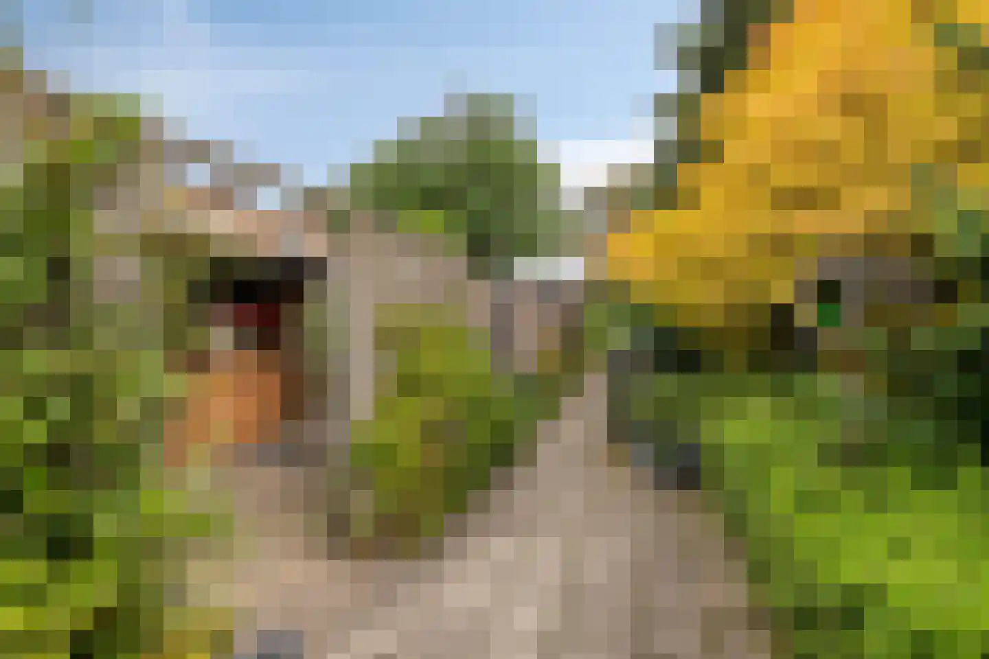 Luxemburglaan 35 Dongen thumbnail 35