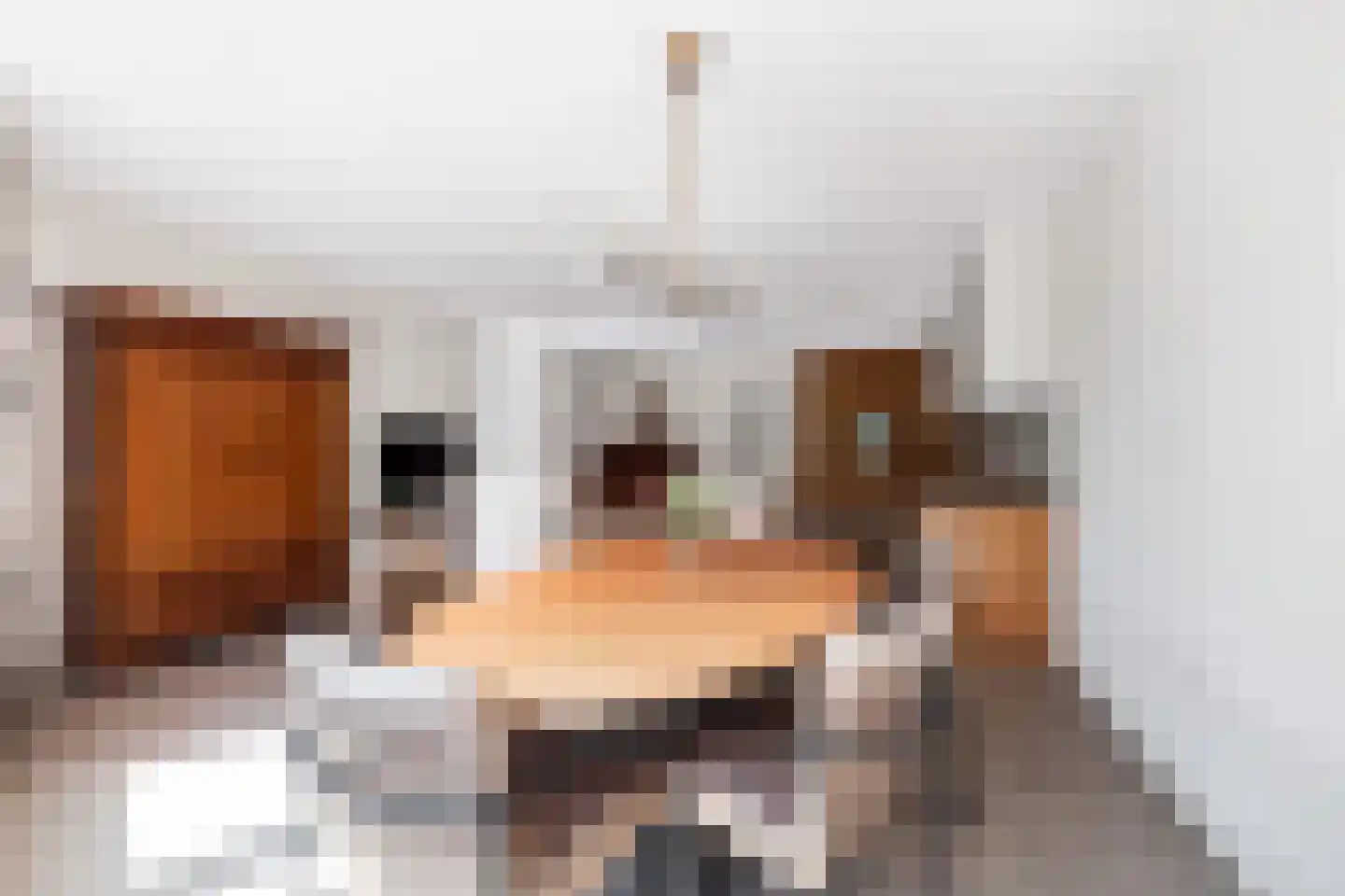 Luxemburglaan 4 Woerden thumbnail 10