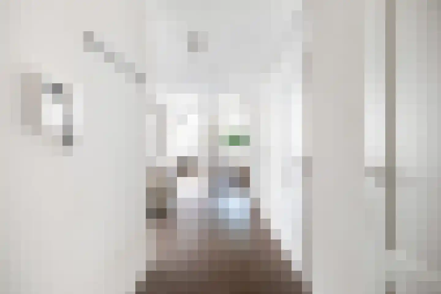 Luxemburglaan 4 Woerden thumbnail 4