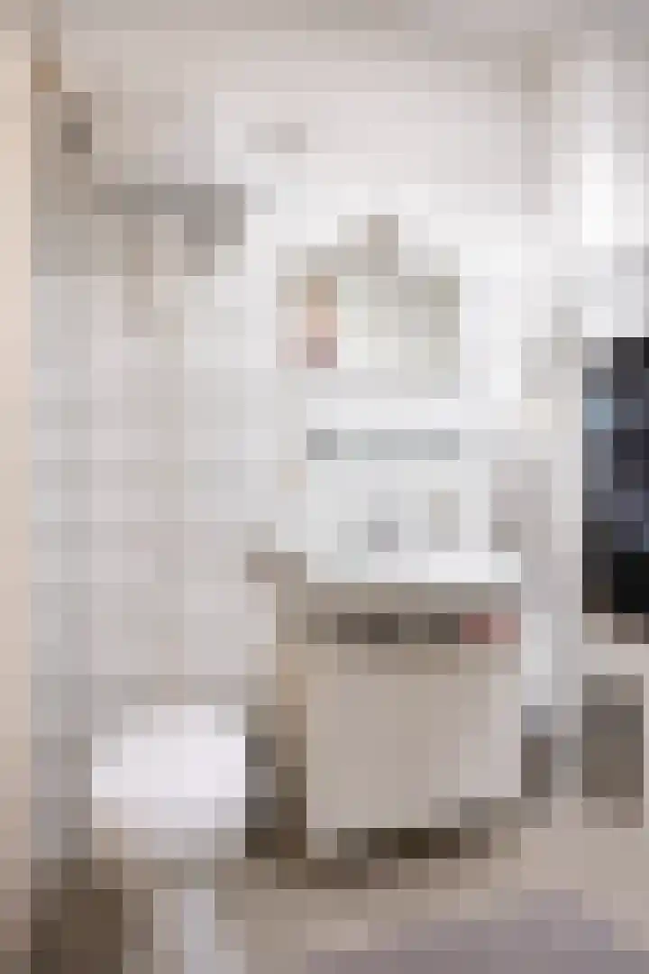 Luxemburglaan 77 Eindhoven thumbnail 30