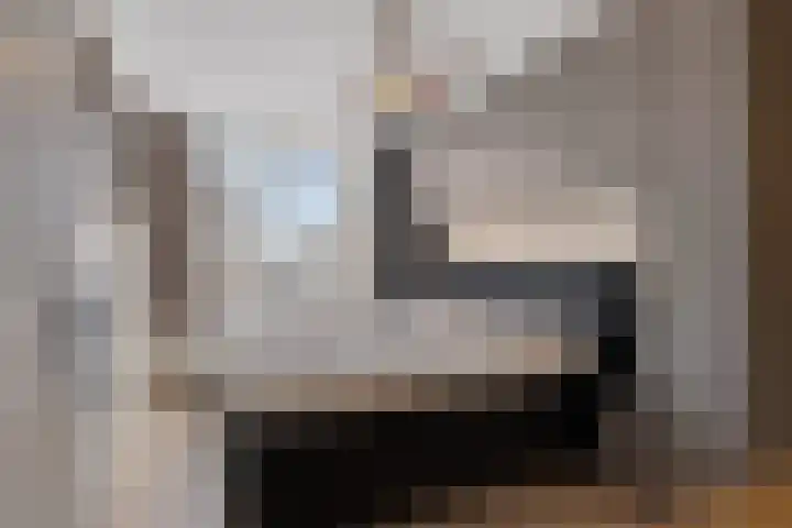 Luxemburglaan 94 Zoetermeer thumbnail 24