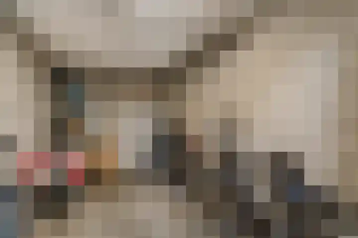 Luxemburglaan 94 Zoetermeer thumbnail 33