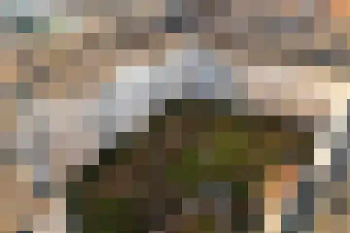 Luxemburgpromenade 110 Utrecht thumbnail 32