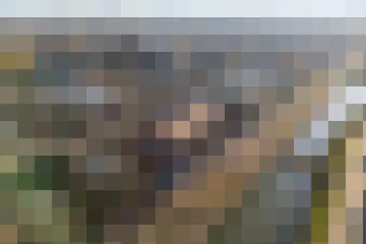 Luxemburgpromenade 110 Utrecht thumbnail 33