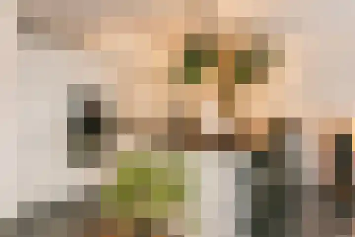 Luxemburgpromenade 110 Utrecht thumbnail 6