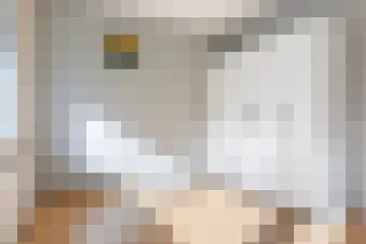 Luxemburgsestraat 8 Budel thumbnail 15