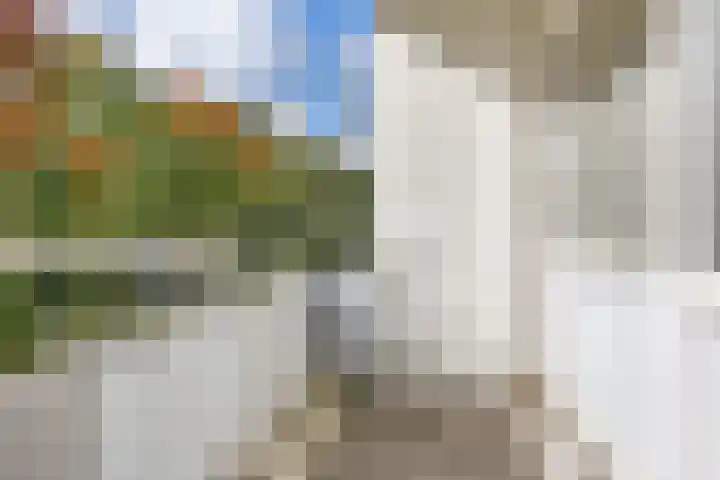Luxemburgsestraat 8 Budel thumbnail 17