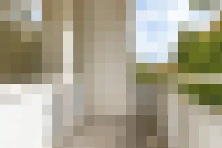 Luxemburgsestraat 8 Budel thumbnail 18