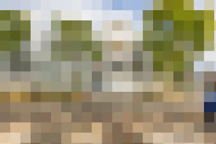 Luxemburgsestraat 8 Budel thumbnail 24